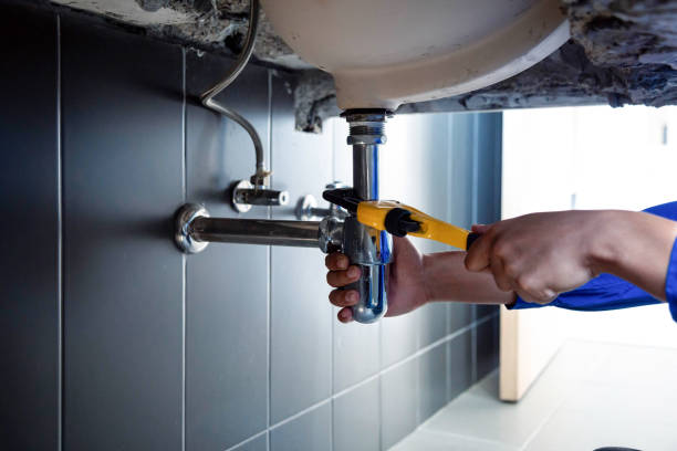 Best Plumbing System Maintenance  in Claremont, NC